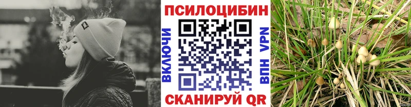 KRAKEN tor Зима Галлюциногенные грибы мухоморы купить наркотики цена
